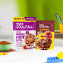 Millet Muesli - Fruit & Nut 500g + No Maida Choco 375g | 875g